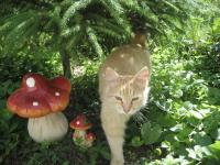 Я несу позитивное тепло в ваш мир:)