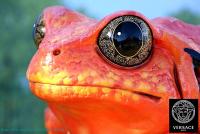 Будь в модном тренде!