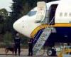 Ryanair: бесплатный минет в бизнес-классе
