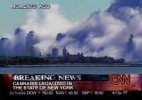 CNN: Cannabis Legalized In The State Of New York
