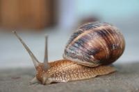 Помеха справа.