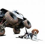 Настал час расплаты