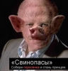 Требуется свинопас, желающий стать принцем