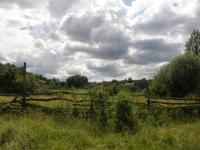 Фото природы