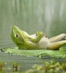 Вот кому жить хорошо:)