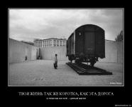 Правда жизни, тем грустнее..