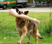 Уносим ноги