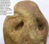 Цивилизация эпохи динозавров обнаружена в России