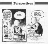 Профессиональный тренер