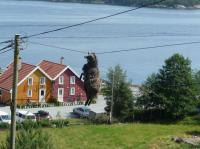 Одним словом - Баран