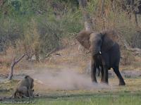 Вам это ничего не напоминает?