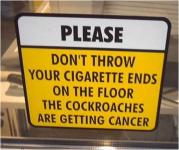 Не бросайте окурки на пол ! Тараканы могут заболеть раком !