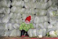 Причина экономического роста в Китае: китайчонка только нашли в капусте, а он уже ей торгует.