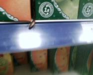 [Н2 эксклюзив] Таракан в Перекрестке