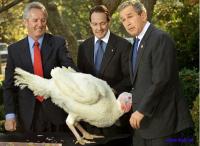 Тот самый дедушка, которому курочка снесла яичко