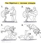 Как побороть лесного клеща?