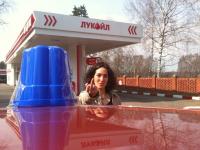 Общество синих ведерок