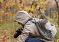 Это вы меня ищете ?