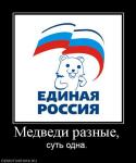 Медведи разные,  суть одна