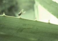 Нелепая смерть. Соблюдайте скоростной режим!