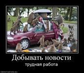 Добывать новости - трудная работа