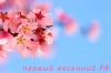 ПЕРВЫЙ ВЕСЕННИЙ PR В ЖЖ