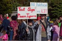 Тестовый транпарант