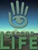 Реальная работа в Second Life