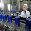 Роспатент отказался зарегистрировать марку водки «Володя и медведи» по политическим причинам