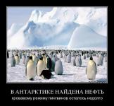 В Антарктиде найдена нефть — кровавому режиму пингвинов осталось недолго