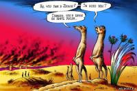 Ну, что там в Ливии?