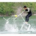 Waterbird Glide on Water No Power No Engine (Акваскипер)