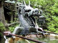 C Новым Годом Дракона всех!