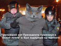 Кот президента перешел в оппозицию