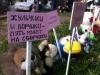 Петербургская полиция пресекла митинг игрушек