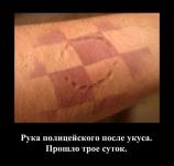 Через трое суток