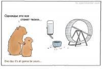 Когда нибудь это все станет твоим…