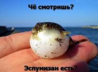Че смотришь? Эспумизан есть?