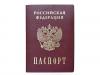 Депардье прилетел в Сочи за российским паспортом