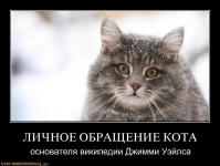 Личное обращение кота.