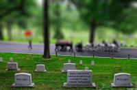 Семен Либерзон где то здесь