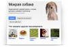 Google Нос (Бета)