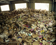 Рай винилофила