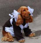 1-е сентября