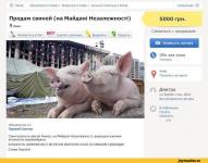 Сало со вкусом свободы.