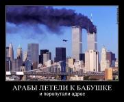 арабы летели к бабушке