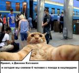 Привет, я Джонни Кэтсвилл…