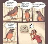 О чём поют птицы блогерам