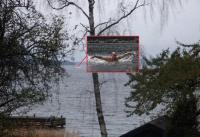 С подводной лодкой в Швеции всё благополучно выяснилось! Изображение увеличили и рассмотрели