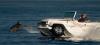 WaterCar The Panther: джип за бортом!